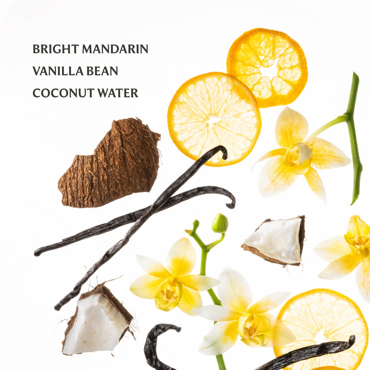 Touchland - Vanilla Blossom Power Mist Hydrating Hand Sanitizer
