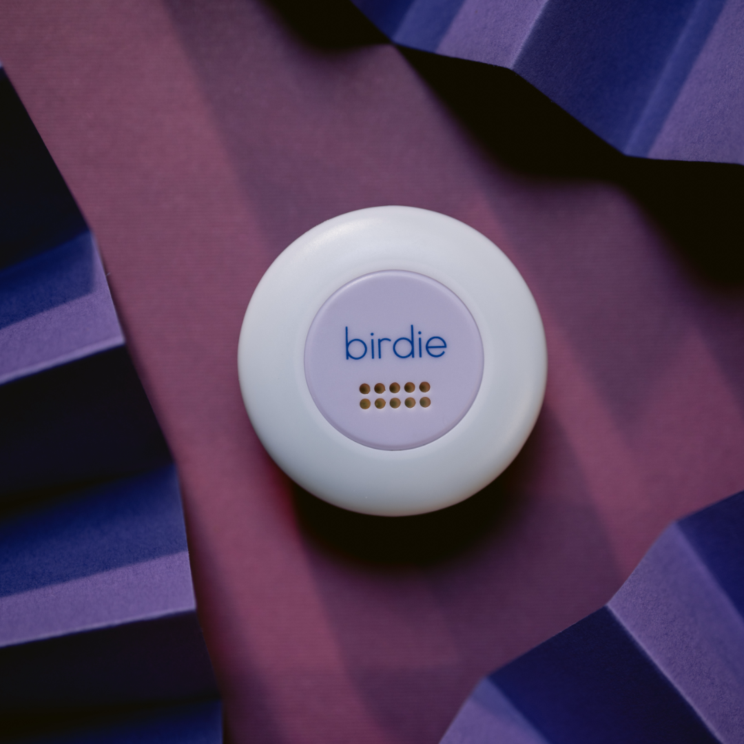 She's Birdie - Birdie Disc: Aqua