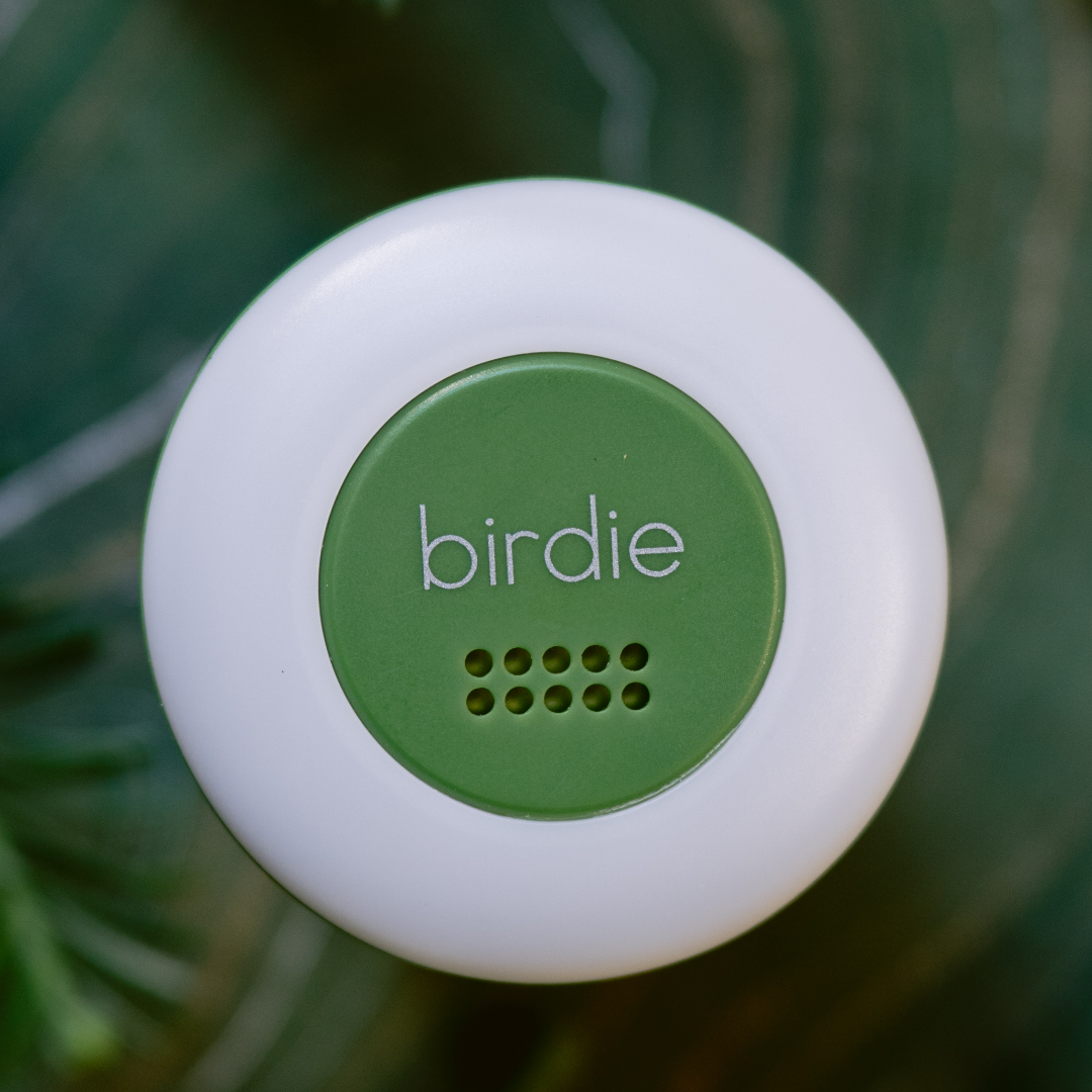 She's Birdie - Birdie Disc: Lemon