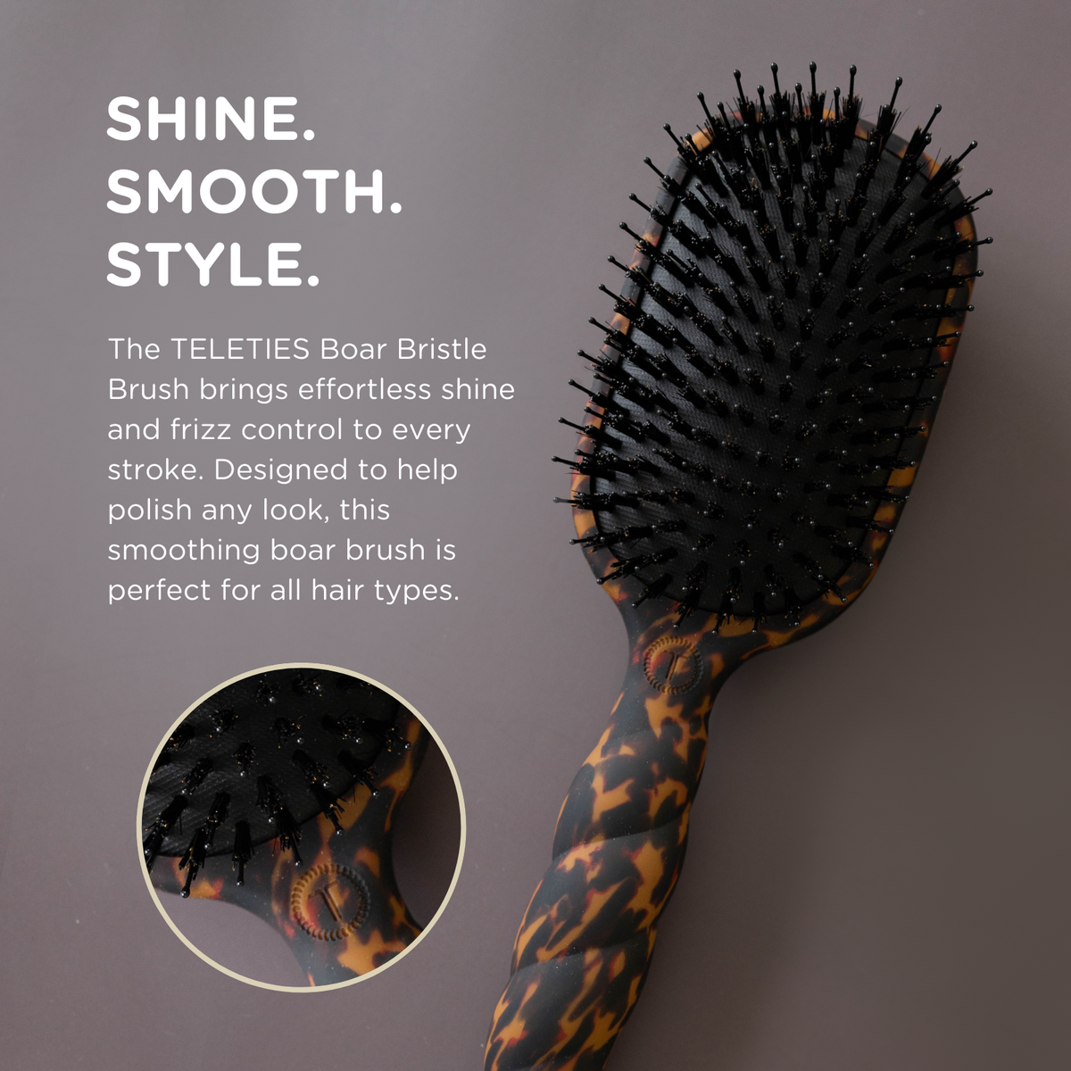TELETIES - Boar Brush | Full Size | Tortoise