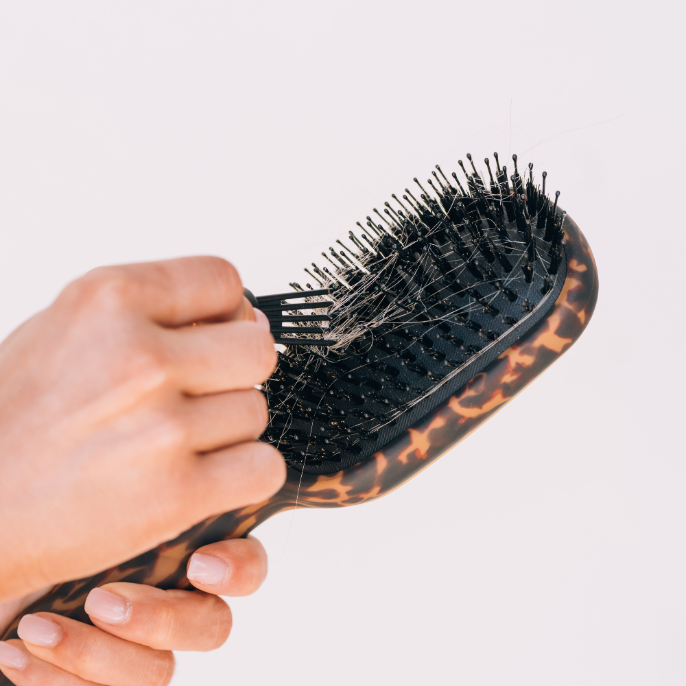 TELETIES - Boar Brush | Full Size | Tortoise