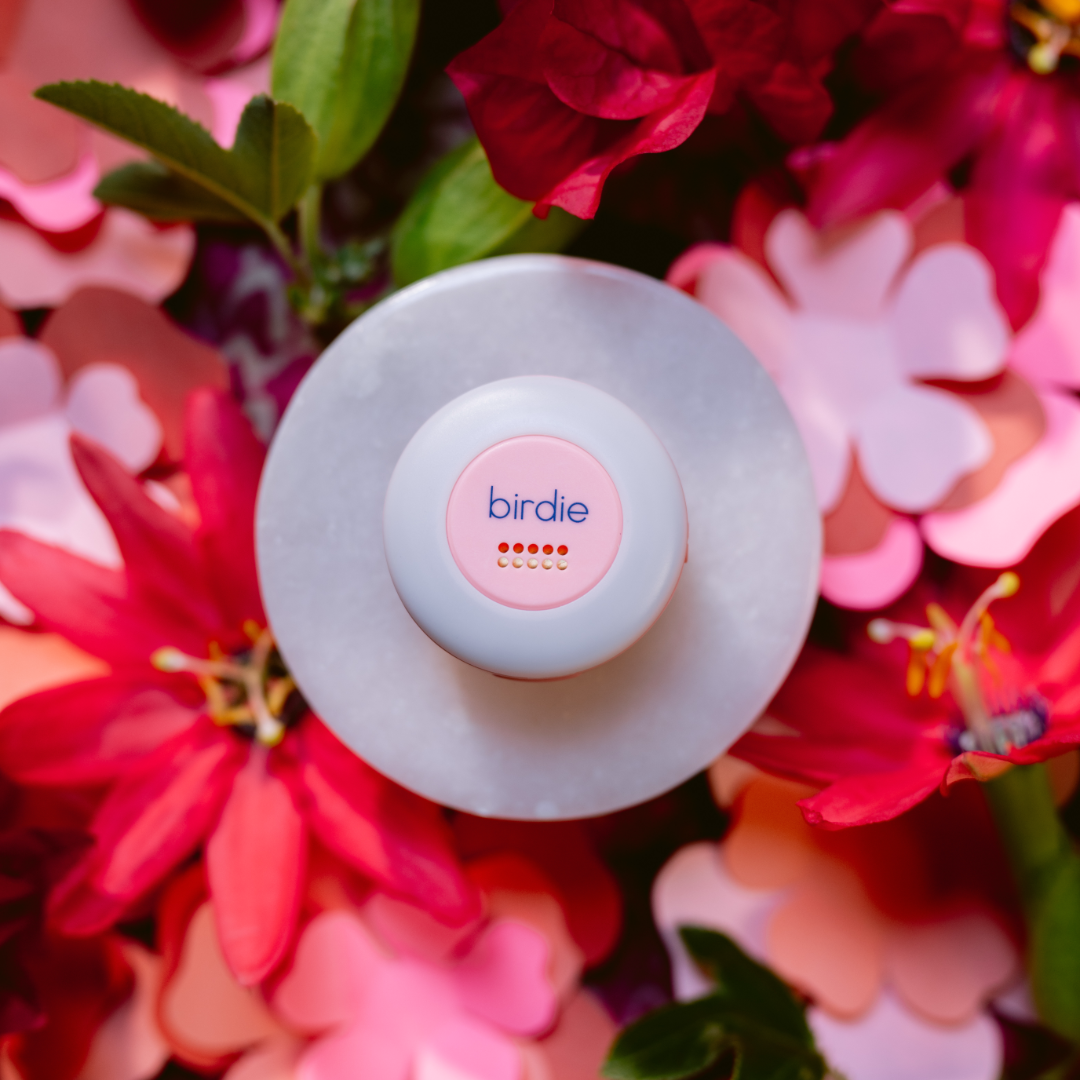 She's Birdie - Birdie Disc: Aqua